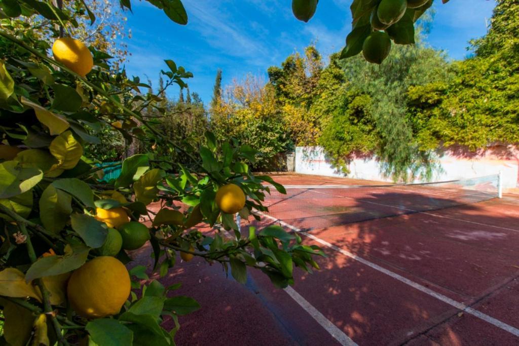 Villa Zahra Palmeraie マラケシュ エクステリア 写真