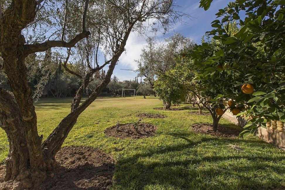Villa Zahra Palmeraie マラケシュ エクステリア 写真